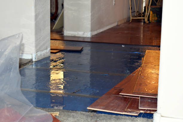 Professional Water Damage Restoration technician working in Ladonia, TX